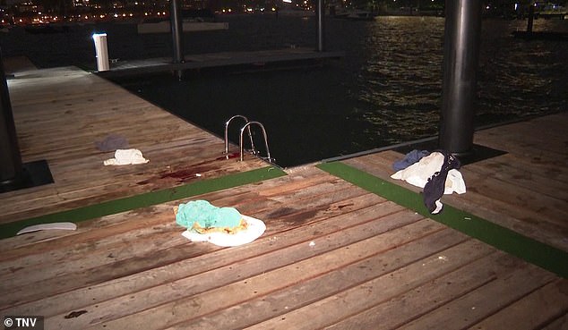 Emergency services rushed to Elizabeth Bay at 7.45pm on Monday to find Ms O'Neill with a serious bite to her leg and 'major blood loss'.  A blood-stained boardwalk is depicted at the scene