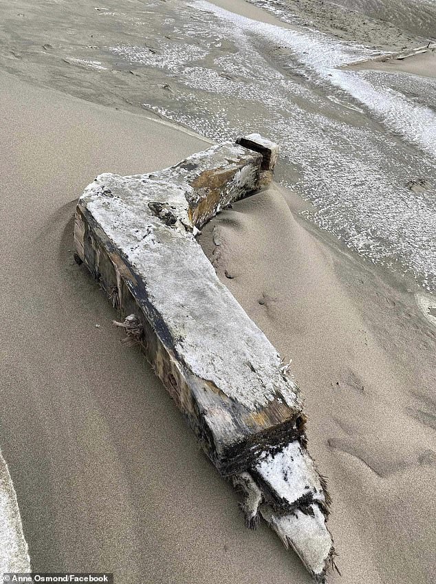 The local government has sent a team to help identify and preserve the wreck