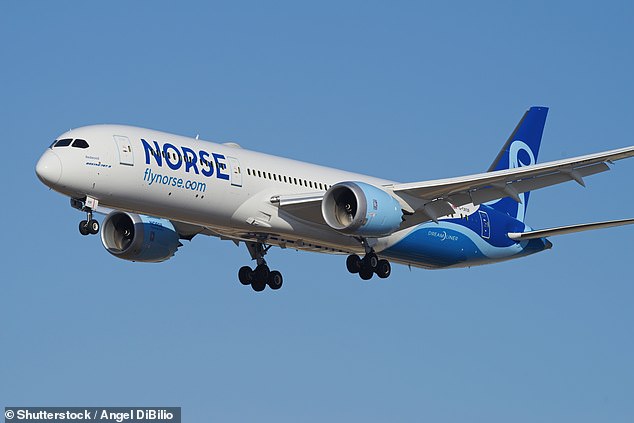 Norse sells some of the best fares between Britain and the US and offers two cabins: economy and premium economy