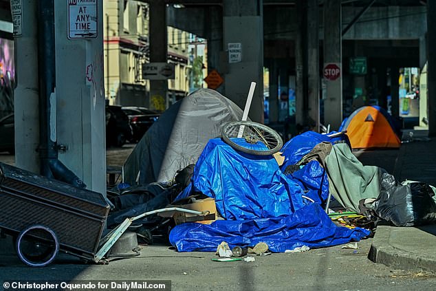 According to the City of Portland, overall homelessness increased by 65 percent between 2015 and 2023.  Pictured: A homeless encampment under the Morrison Bridge in Portland