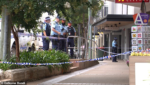 Two witnesses gave chase and made a dramatic citizen's arrest on the Frenchman's road (photo, police on site)