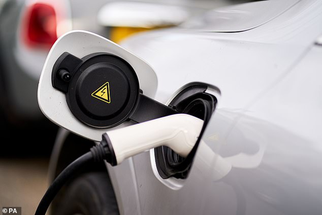 Consumers should consider lifetime costs when choosing between an electric car or a petrol car, RAC says