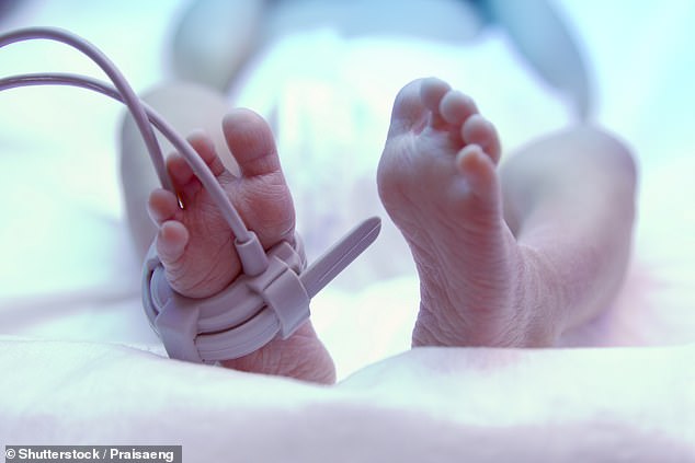 A newborn baby fights for life after a 'free birth' gone wrong (file photo)