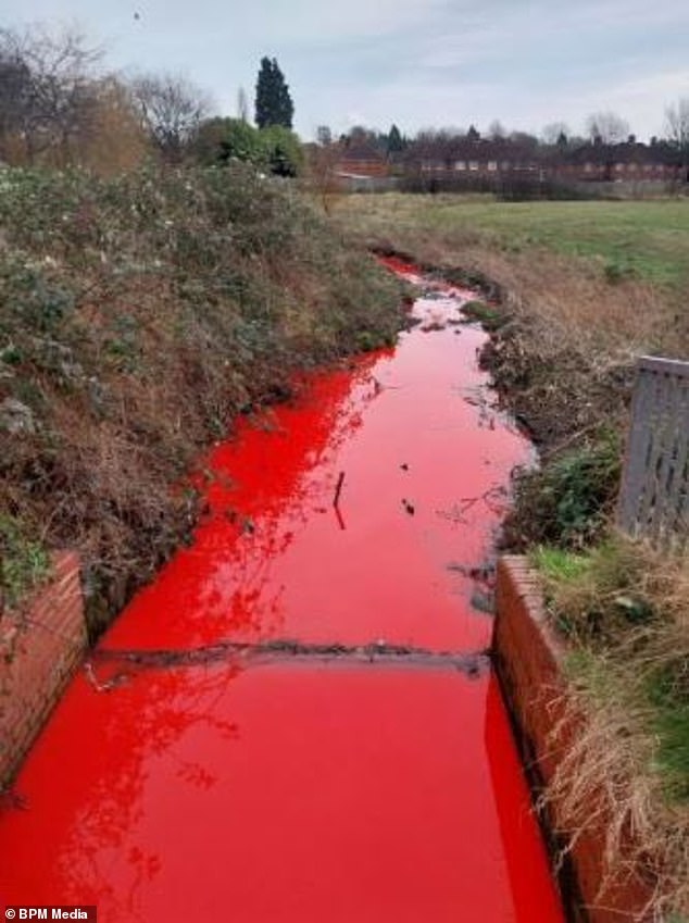 The blood-colored stream at Perry Common Meadows in Birmingham.  A member of the public noticed the strange occurrence on Wednesday, January 24