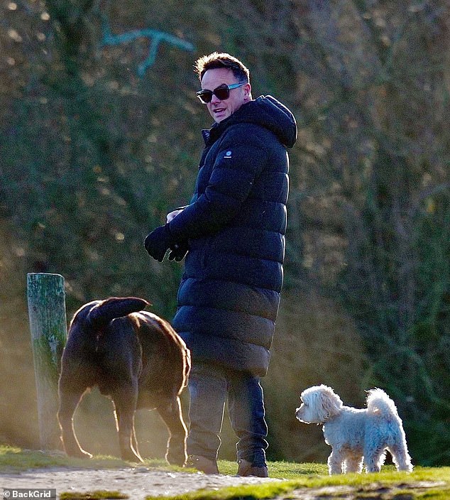 The TV presenter, 48, enjoyed a break while walking three of his beloved puppies in a London park