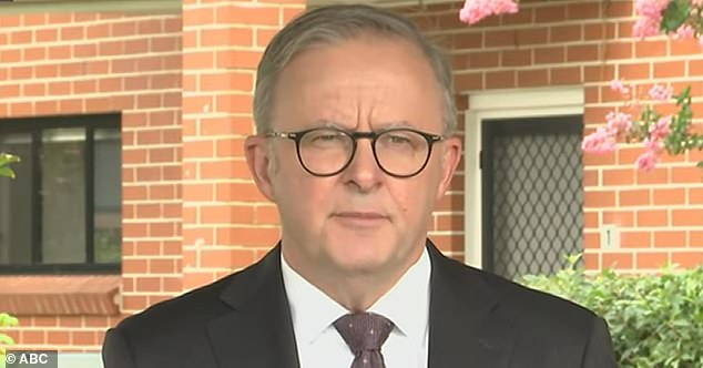 Anthony Albanese (pictured) has unveiled a $206 million cost of living package that will see more than 30,000 households benefit from the long-term support