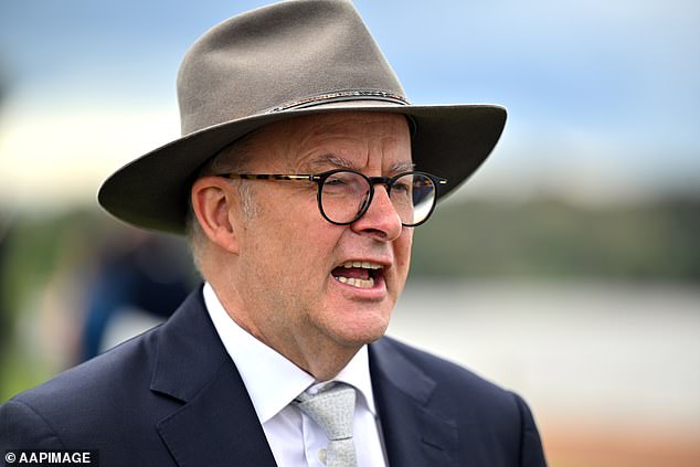 Anthony Albanese says anyone earning less than $150,000 will receive a bigger tax cut from July (Mick Tsikas/AAP PHOTOS)