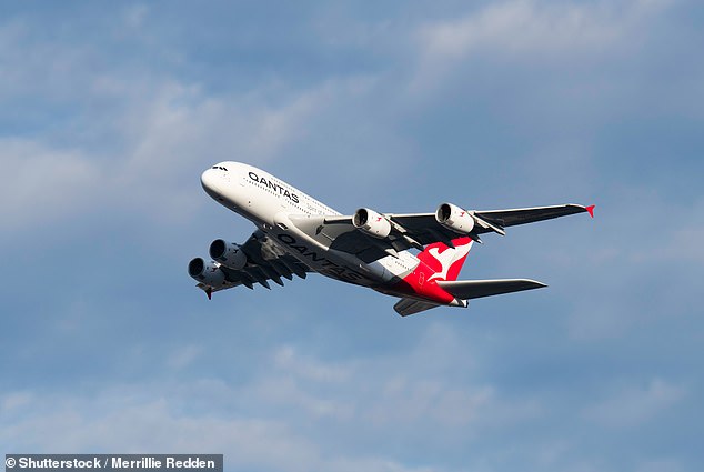 The decision to block Qatar's bid was made by Transport Minister Catherine King on July 10, 2023 and made public just over a week later.  A Qantas aircraft is pictured