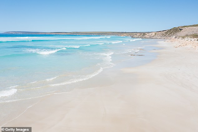 Mr Cojocea bravely entered a rip at Mary Ellis Wreck Beach, south-west of Port Lincoln (pictured) to save his two sons and Mr Grobler's daughter