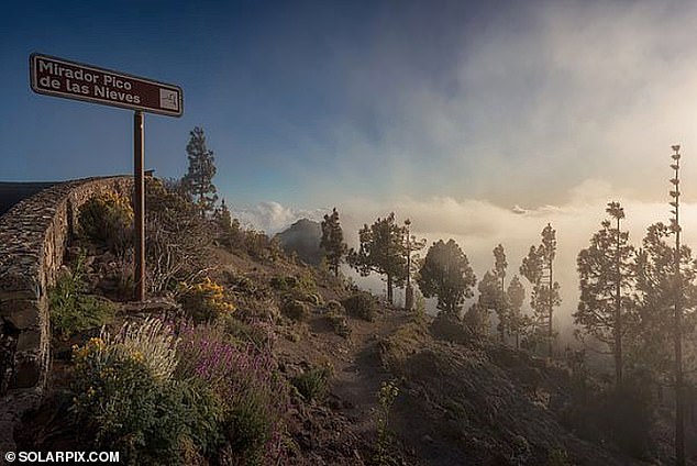 Pico de Las Nieves is one of the highest points in Gran Canaria and one of the highest points in the Canary Islands in general