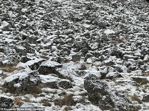 A wildlife photographer challenged nature lovers to spot a sneaky mountain hare hiding in the snow-capped Scottish Highlands, leaving some so baffled they gave up - but can you spot it?