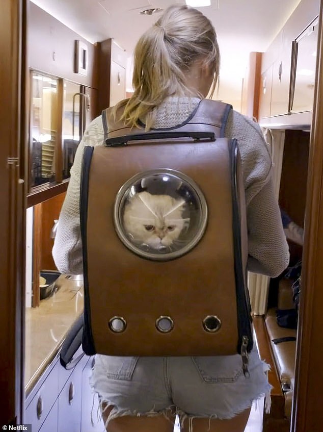 Taylor Swift carries her cat in the Miss Americana Netflix documentary, out in Britain from January 31