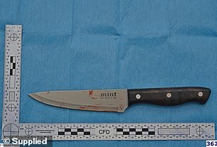 The knife Luay Sako used to kill Celeste Manno