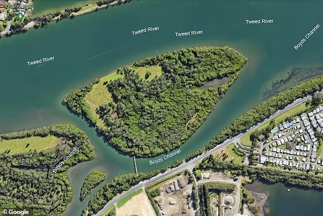 Chinderah Island (pictured) is located near the Tweed River and livestock are stranded on the island and have yet to be claimed by an owner