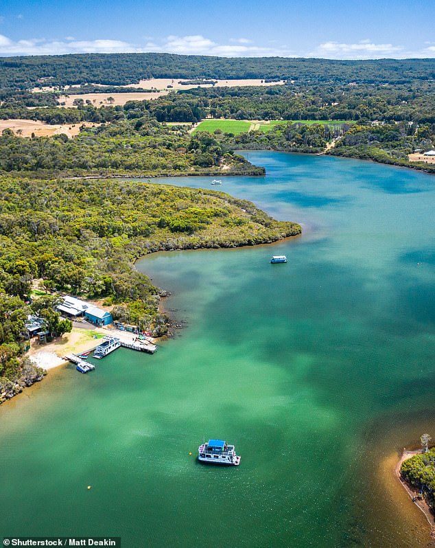 The Blackwood (above) runs for approximately 300 km from the junction of the Arthur and Balgarup Rivers at Quelarup in a south-westerly course through Bridgetown and Nannup and empties into the Southern Ocean at Augusta