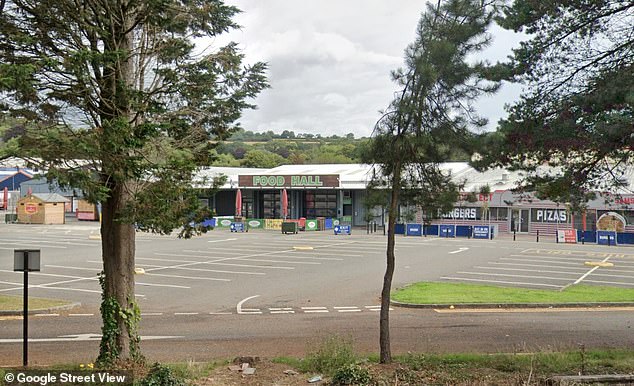 The hearing in Exeter, Devon, heard there are two sets of toilets on the market that are 'in heavy use throughout the day'.  The photo shows a general view of Par Market