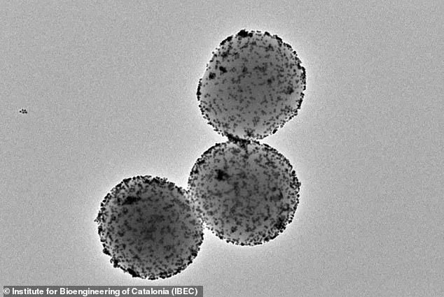 Nanorobots deliver the nanoparticles that attack the tumor and reduce its size by 90 percent