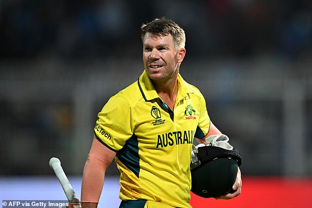 David Warner has announced that he will also retire from ODI cricket after disrupting his Test cricket career