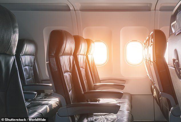 Airline passengers were shocked after someone pooped in their pants during their flight - leaving the feces 'like peanut butter' all over the seat (stock image)