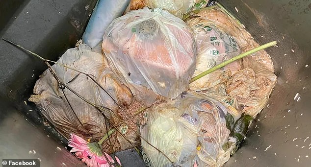 A frustrated Inner West resident has revealed the disgusting state of his bin, which will be filled with swarms of flies and maggots (pictured)