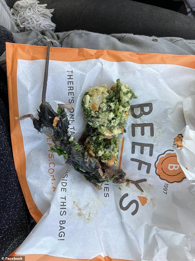Social media users are shocked after a man claimed to find a rat in his salad sandwich from a famous pie shop, Beffy's, at Aussie World on the Sunshine Coast (pictured)