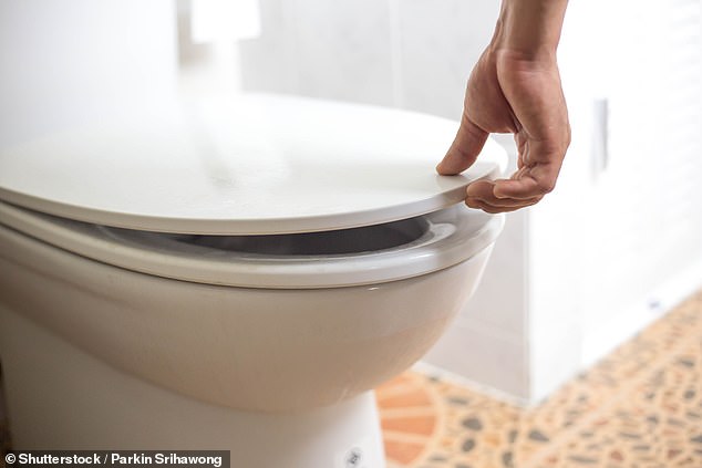 Viral particles spread to many toilet surfaces during toilet flushing, regardless of whether the toilet lid is up or down