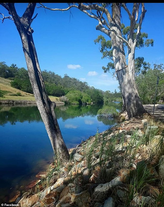 A man, 53, drowned in the Yowaka River at Nethercote near Eden on the far south coast of NSW