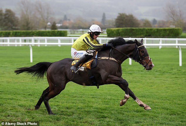 It promises to be an action-packed meeting in Cheltenham this weekend, with Burdett Road pictured here with Harry Cobden riding in action