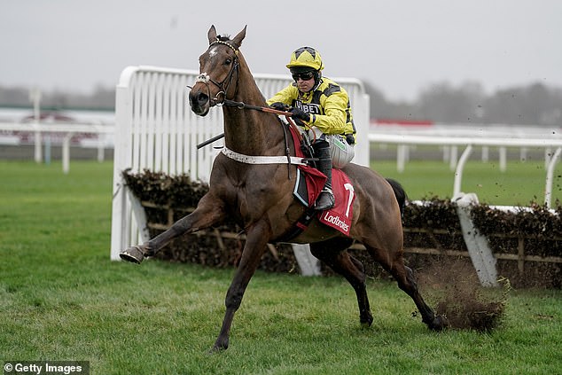 Burdett Road will face Sir Gino, ridden here by Nico de Boinville, in the Triumph Hurdle at Cheltenham