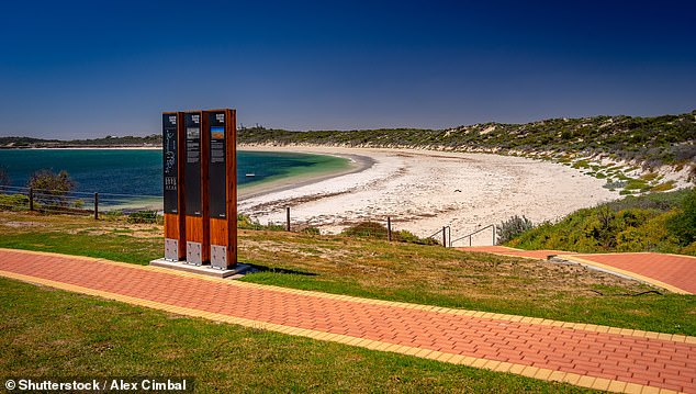 The 64-year-old was about 200 meters offshore at Elliston in South Australia when he was attacked on Tuesday afternoon.