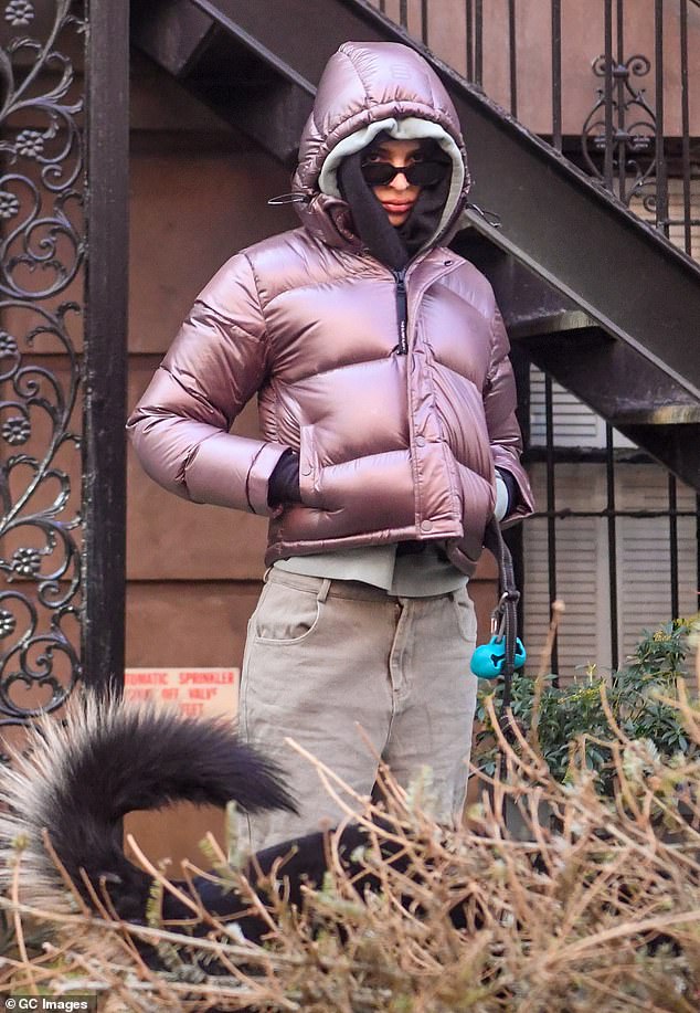 Emily Ratajkowski donned her winter gear on Monday to brave the elements with her dog Colombo in New York City