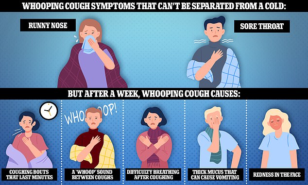 Health officials warned that the infection may initially be difficult to distinguish from a cold because the first signs are a runny nose and sore throat.  But about a week later, patients may experience coughing fits that last minutes, have difficulty breathing after coughing, and make a 