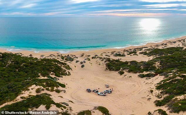 Three teenagers have been charged after allegedly forcing three younger boys into their car and dumping them on Tims Thicket Beach (pictured)