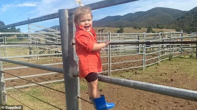 Two-year-old Everleigh Johnson (pictured) was found unconscious in a hot car in Eungella