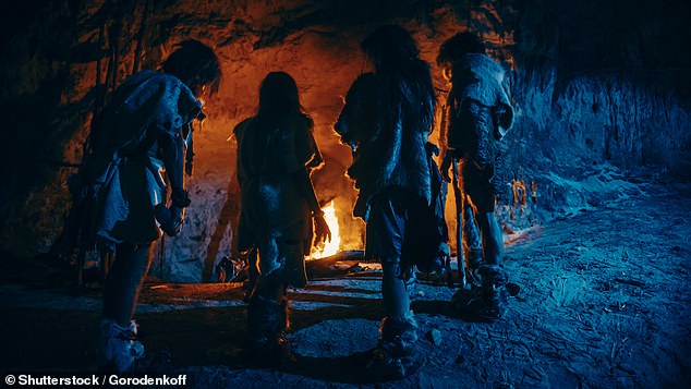 Talking about early humans conjures up images of cavemen sitting around a fire and chewing meat off the bone.  But the commonly used description of 'hunter-gatherers' should be changed to 'gatherer-hunters', experts say (stock image)