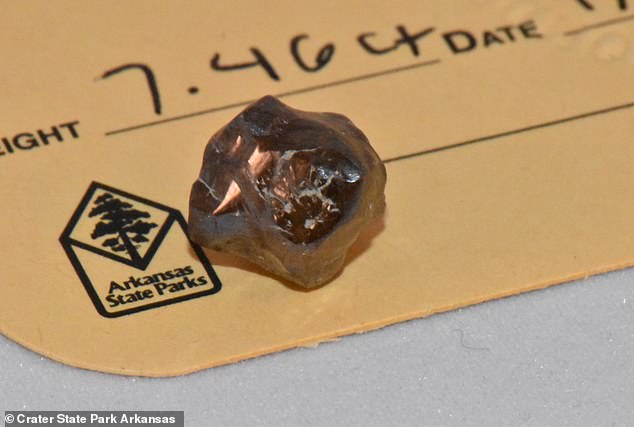 Navas had unearthed a marble-shaped, deep chocolate brown diamond weighing 7.46 carats