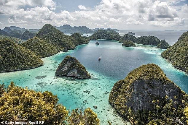 The Coral Triangle (above) stretches from Indonesia to the Solomon Islands - and is one of the last great wildernesses on Earth