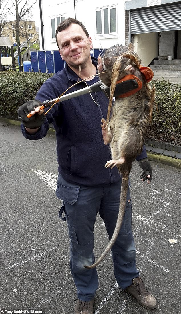 Gas worker James Green found with a rat near Hackney Downs, East London (File Photo)