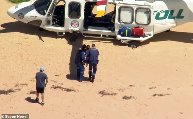 The woman, in her 30s, was walking in bushland next to Great Mackerel Beach in Ku-ring-gai Chase National Park when she was bitten about 10.30am on Friday.