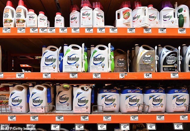 Roundup's main ingredient is a chemical compound called glyphosate, which has been labeled a carcinogen by the World Health Organization and the state of California.  Bayer and Monsanto deny this