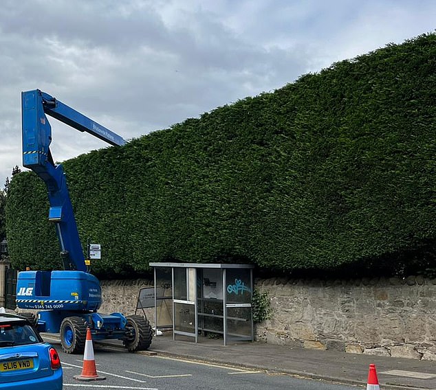 The Harry Potter creator, 59, has demanded access to the road next to her £2.2million home be restricted for a week as her leylandii hedge is cut down