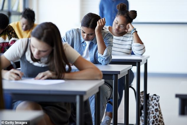 Standardized tests may be the best indicator of which students will do well in college, a new study shows