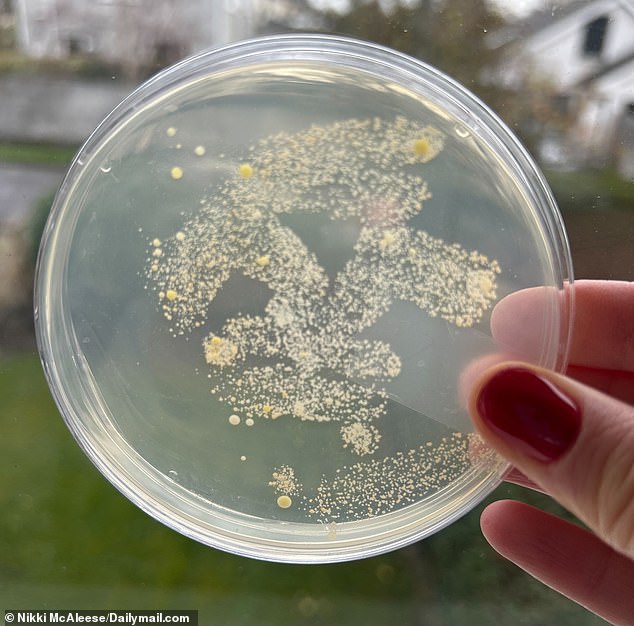 DailyMail.com has conducted studies to find out how much bacteria is lurking in your Fitbit or Apple Watch.  After two days in a petri dish, the insects began to multiply in samples taken from rubber and plastic tires