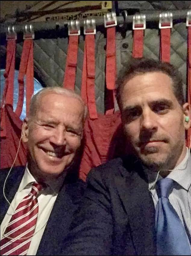 Republicans are investigating how Joe Biden may have profited from the relationships with 'Chinese sources' and other foreign entities that his son Hunter and brother James Biden developed