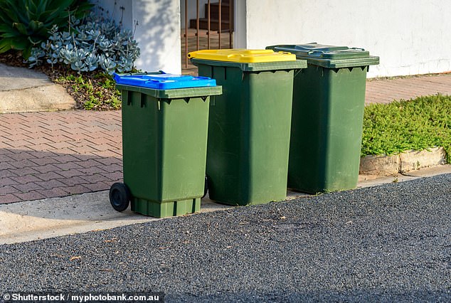 A young Australian has thanked Reddit for explaining suburban 'garbage etiquette' and why you shouldn't throw leftover rubbish in your neighbour's bin (stock image)