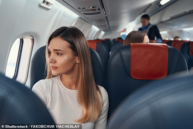 A 23-year-old American woman has divided opinion on Reddit after revealing that she refused to swap her plane seat so mother and child could sit together (stock image)