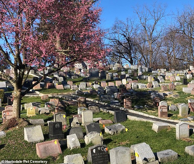 Sometimes more upset about the deaths of their furry friends than their own parents, they arrange to have a plot left inches away at the Hartsdale Pet Cemetery for when they join them.