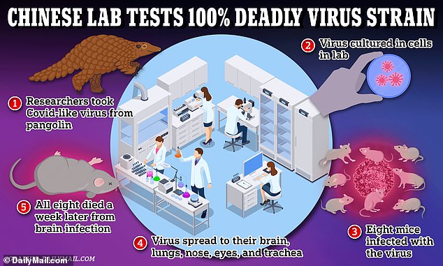 Scientists in Beijing – linked to the Chinese military – have cloned a Covid-like virus found in pangolins, known as GX_P2V, and used to infect mice