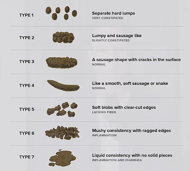 Doctors often use the Bristol Stool Chart in clinical practice to assess the health of a person's bowel movements