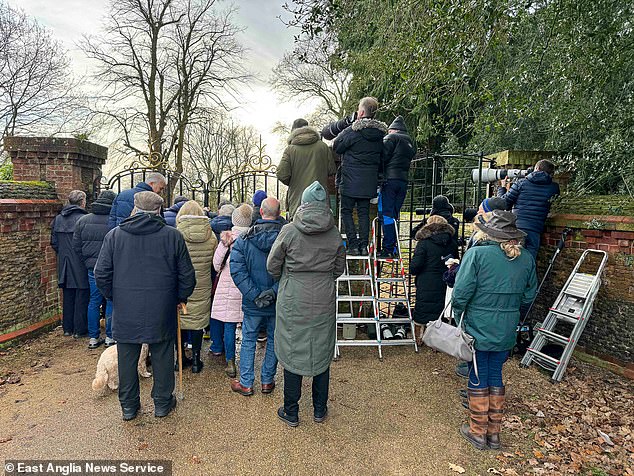 Devotees gathered today hoping to catch a glimpse of the King walking to St Mary Magdalene Church on the Sandringham estate, only to find the gates to the paddock outside were locked